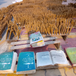 Quy Trình phơi Nhang ngải cứu Minh An