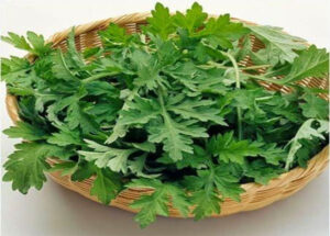 Lợi ích của cây ngải cứu